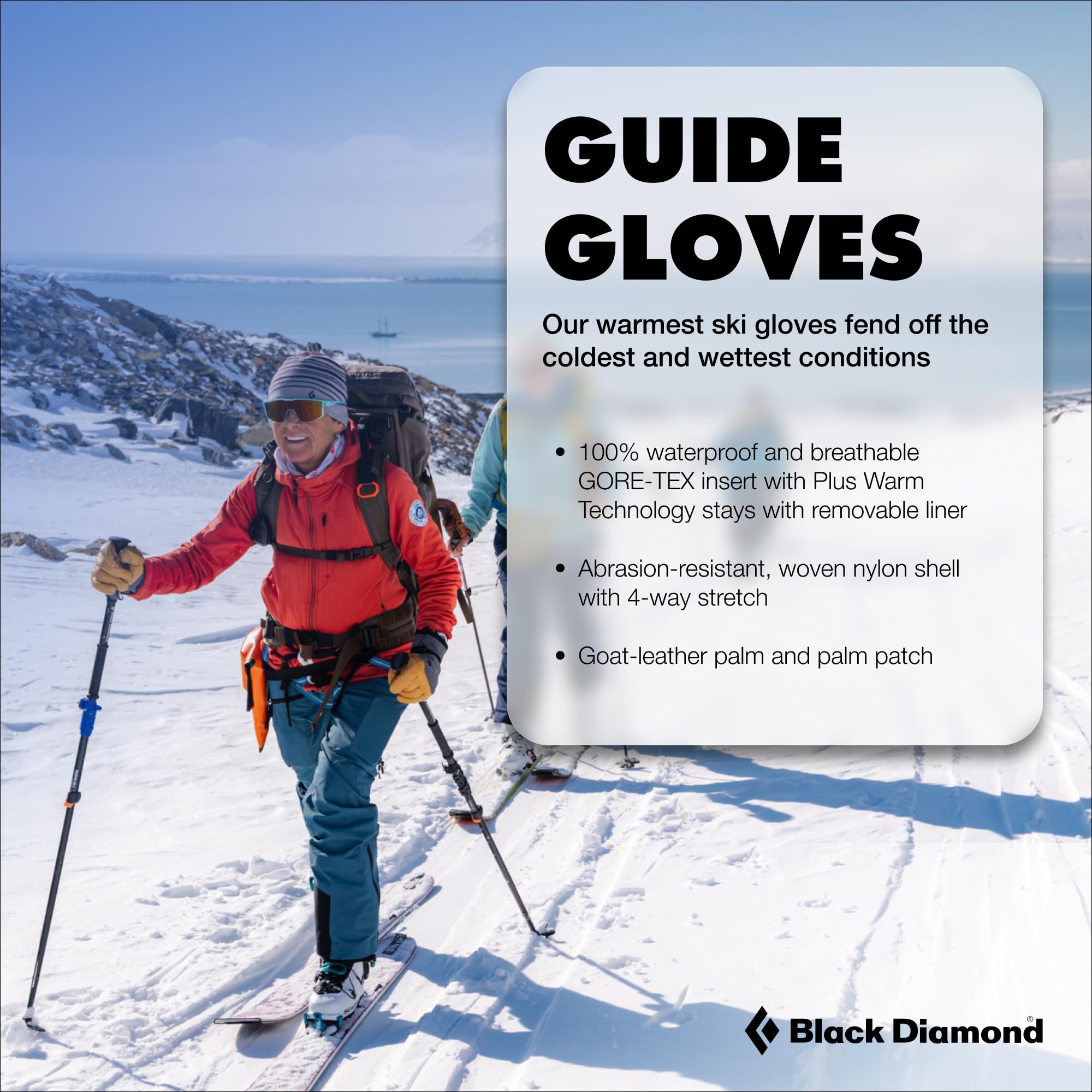 BLACK DIAMOND Men's Guide Gloves Waterproof Gore-TEX Cold Weather